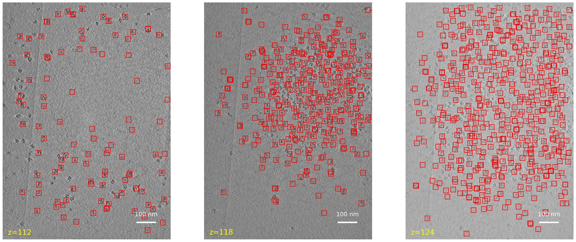 FullTilt detections on tomogram slices z=112, 118 and 124