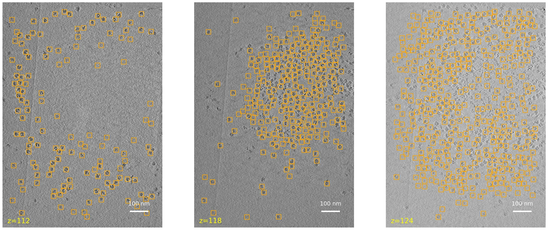 TomoTwin detections on tomogram slices