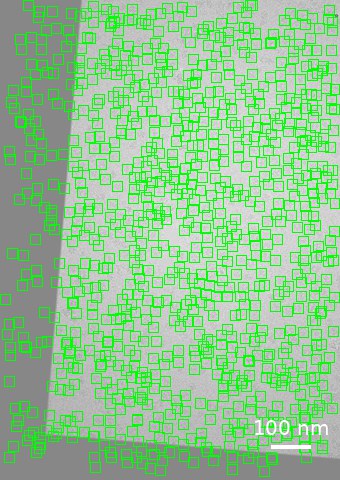 Ground-truth ribosome locations projected onto the tilt image